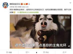 博主爆料保姆视频,揭秘家政服务背后的真实一面